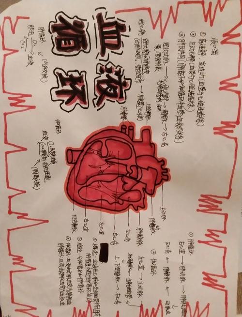 小学儿童手绘血液循环作业图
