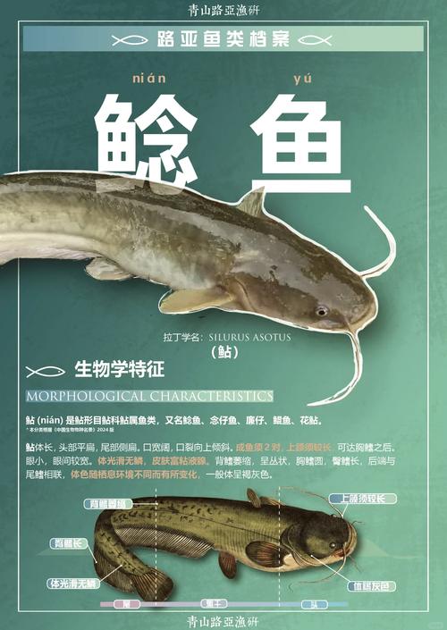 产业链的鲶鱼已经放进来了