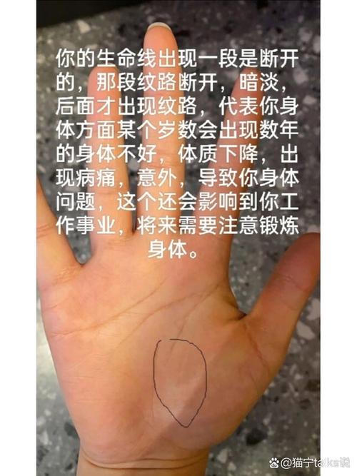 数纹路的意外