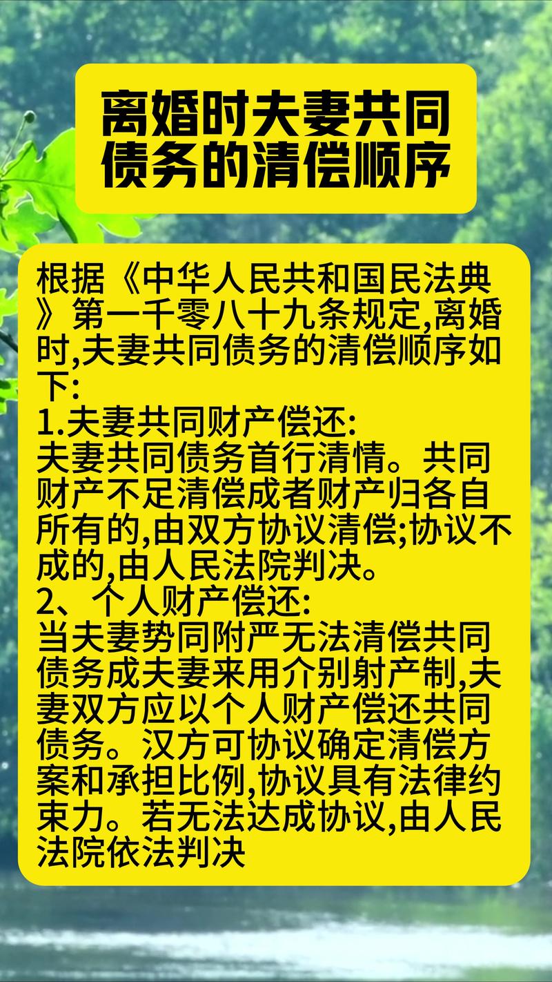 离婚后共同债务追偿诉讼时效起算规则图