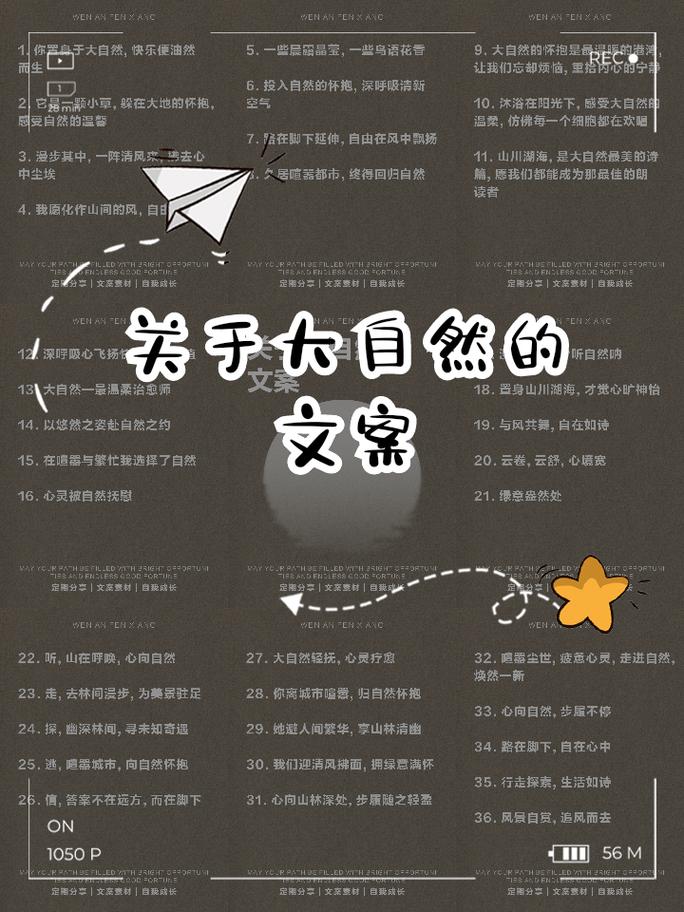 自然留链才长久,别全堆关键词锚文本