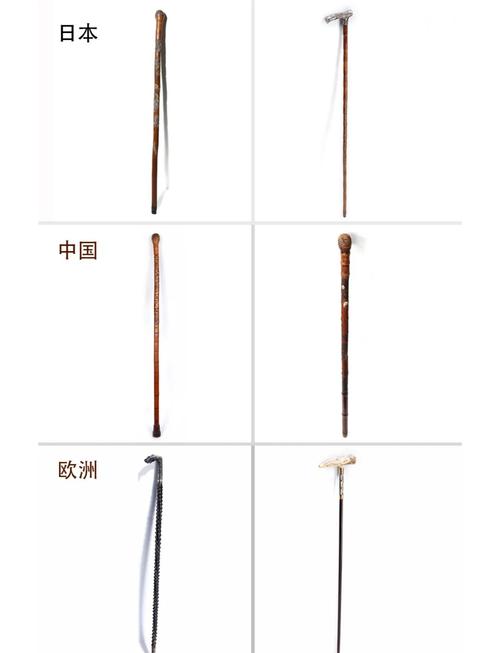 不同手杖握柄形状对比图