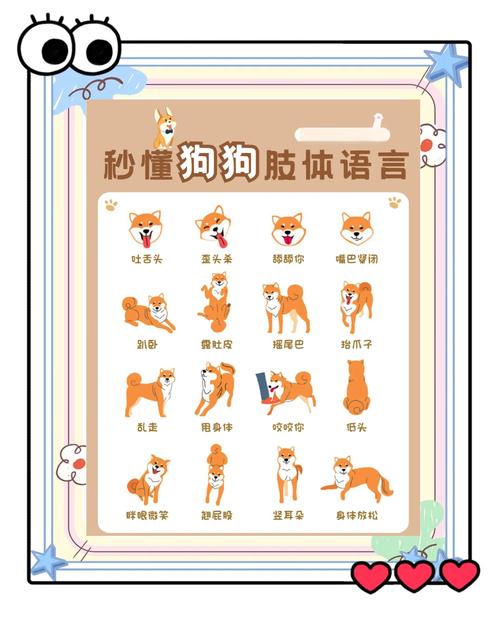 狗狗社交友好信号肢体语言对照表
