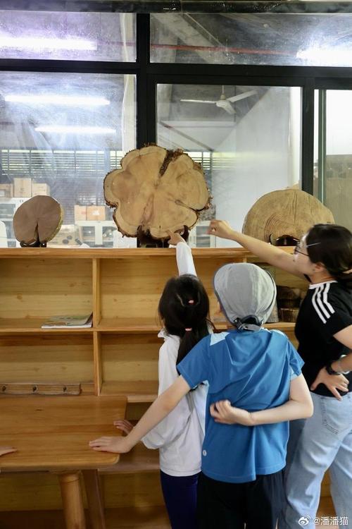 科学家在实验室测量树芯样本年轮宽度