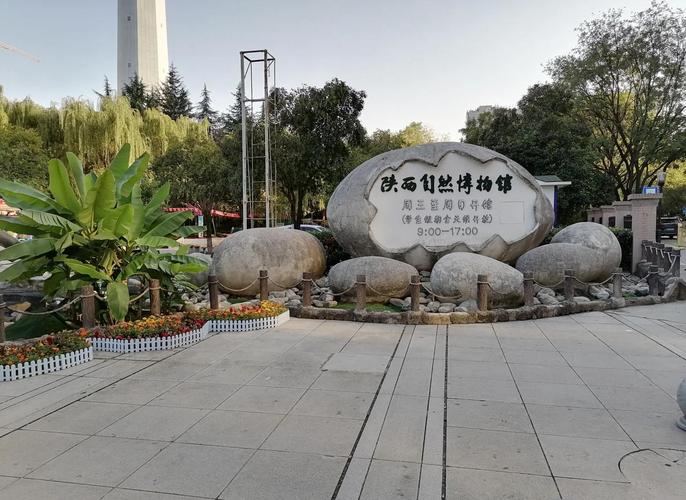 家长带孩子逛自然博物馆文化启蒙实拍