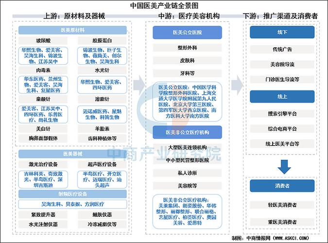 垂直医美领域知识图谱实体关系示例图