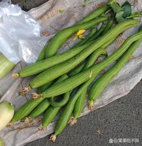 盛夏菜市场带着白霜的嫩冬瓜和挂着花的丝瓜