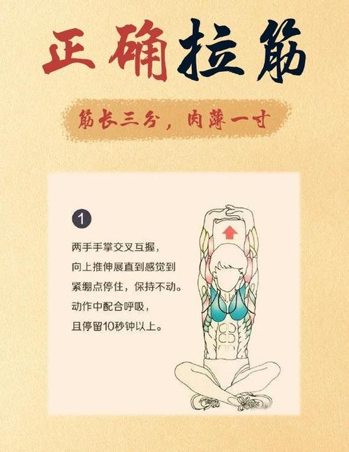 成年人零基础,柔韧性差得像根钢筋,咋整?