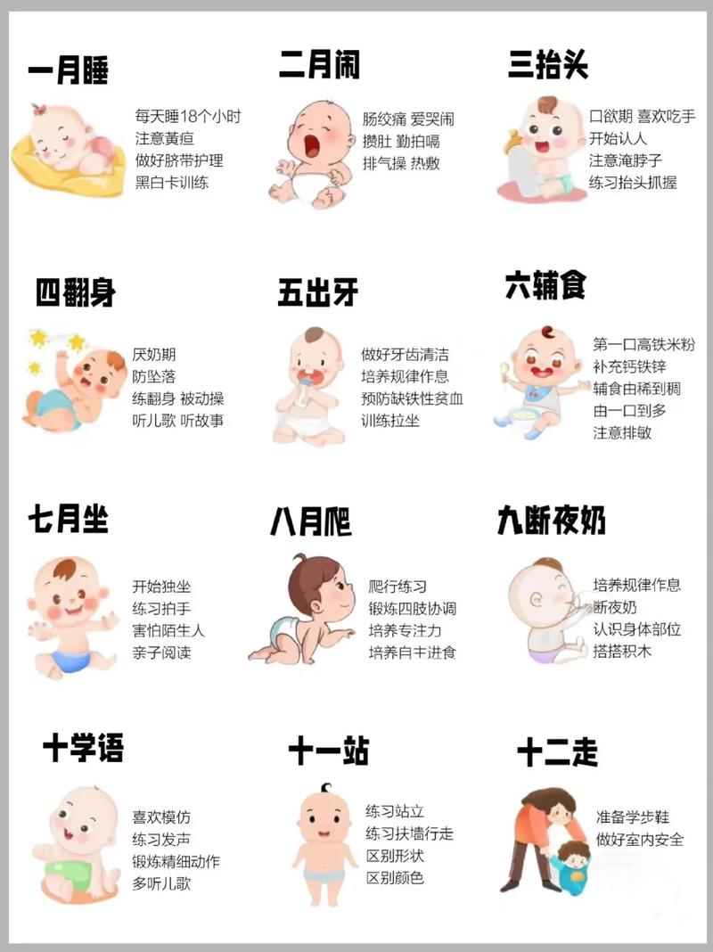 不同月龄怎么选？别乱买，抓住发育关键期！