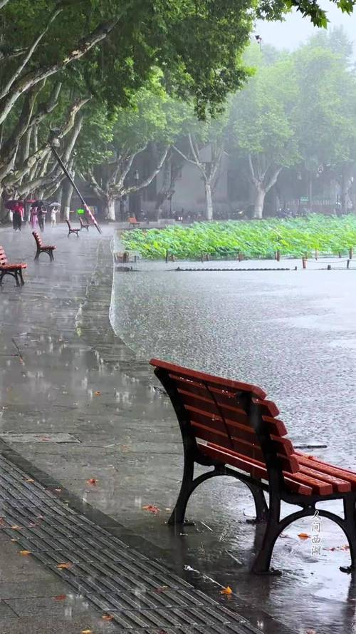 梅雨季杭州西湖边雨天行人裤脚打湿实拍