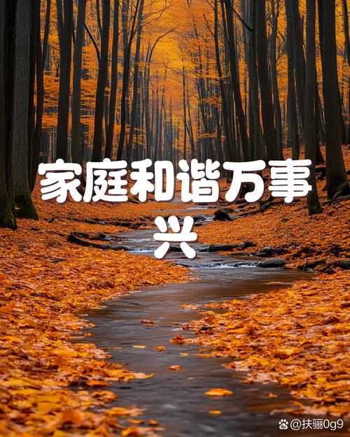 比起完美陪伴，灯火可亲更够味