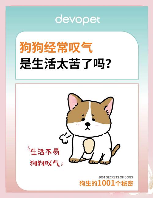 三家实测:有的惊艳,有的叹气