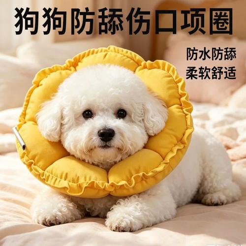狗狗穿戴软伊丽莎白圈防舔绝育伤口图
