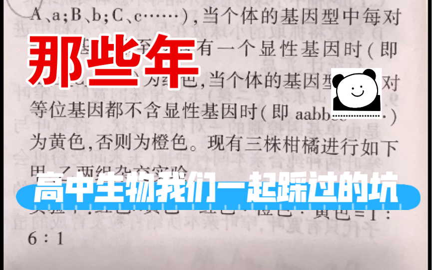 那些年我们踩过的坑：总结不是自我批斗