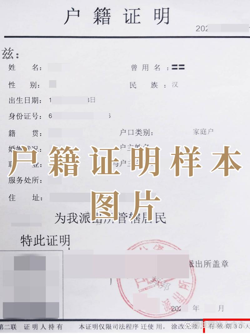 离婚后未更新婚姻状态的居民户口样张
