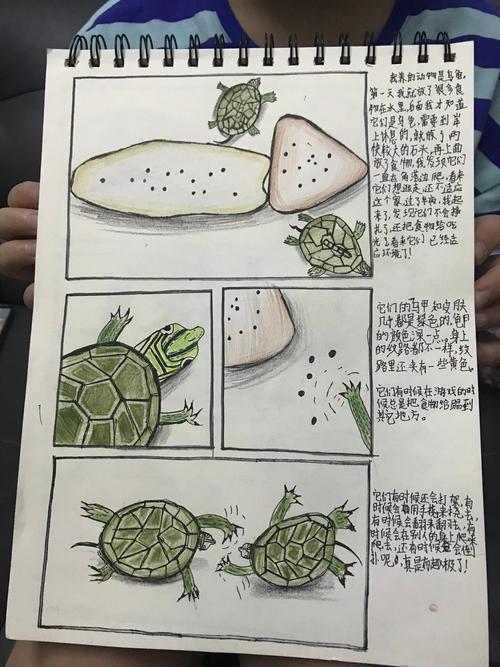 孩子周记本上小乌龟插图和省略号涂鸦