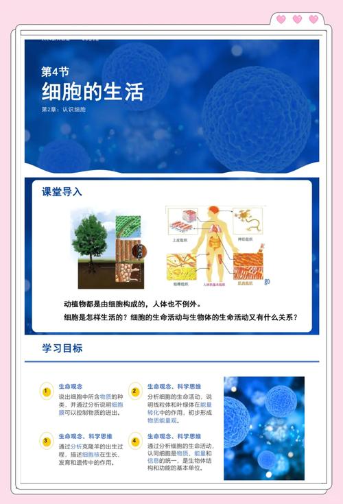 温和叙事:做一条安静的细胞质