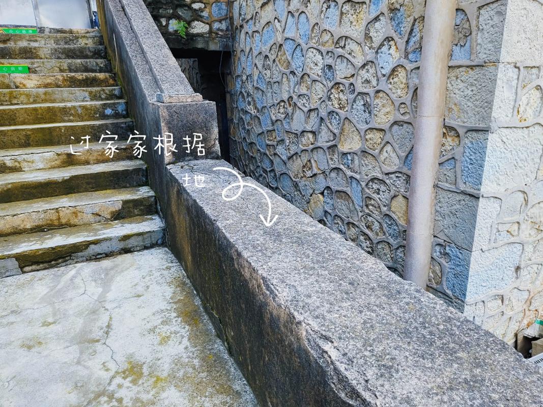 武汉江汉路水塔老墙根青苔