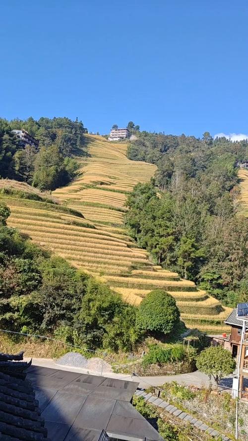 湖北南漳麻城河村秋收梯田