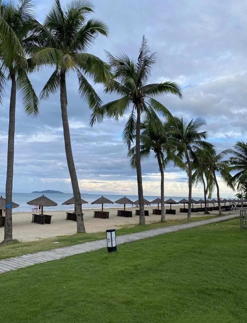 三亚亚龙湾滨海公路沿途椰林风景