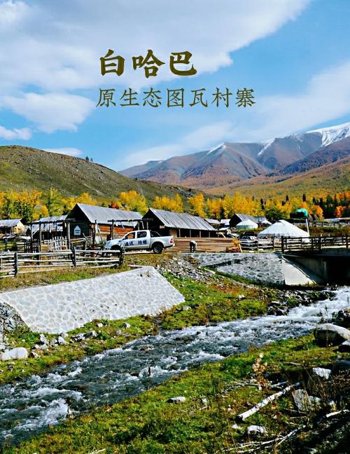 白哈巴：边境线上的硬核美食，别怕膻