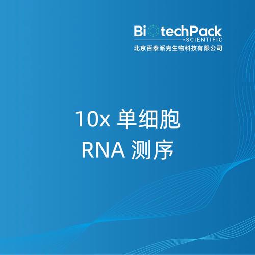 科研圈的隐形基建：标准制定与推广到底难在哪？