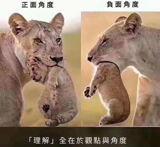 换个视角看长期影响