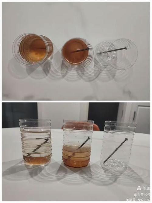海水环境下铁钉生锈与干燥环境铁钉对比实验图