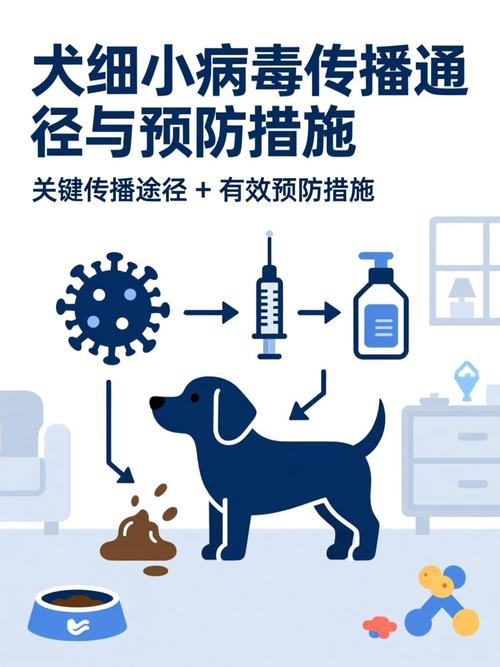 犬细小病毒环境传染路径示意图