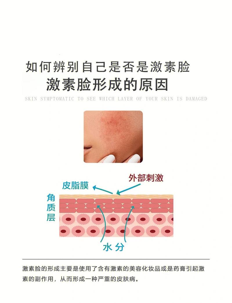 产后皮肤激素影响代谢示意图