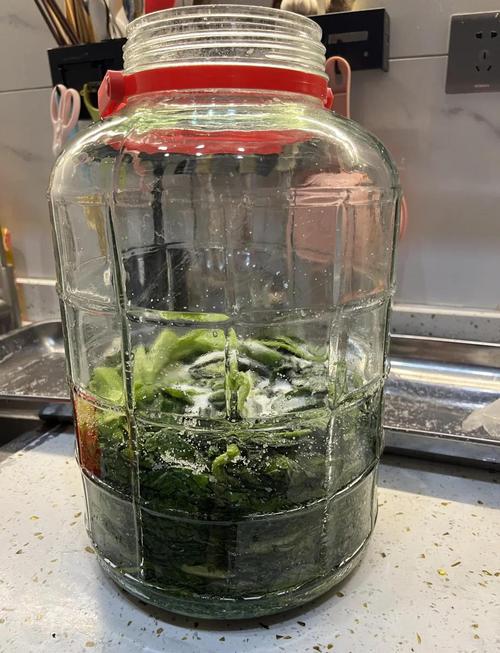 老居民阳台腌菜缸边橙绿紫静物
