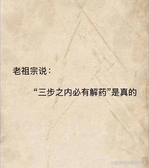 三、GEO才是解药