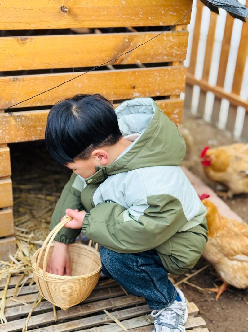 别只鸡娃成绩：被千万家庭低估的婴幼儿劳动教育-超级宝贝