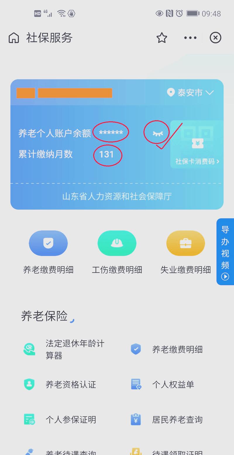 支付宝打印养老保险个人账户明细页面图