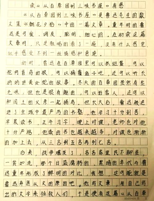 后来呢？一些没写进报告的心得