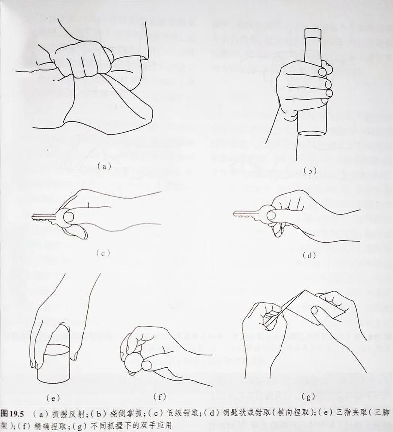 全代劳的精细动作误区
