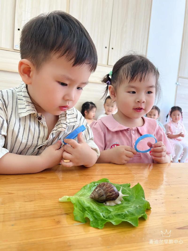 儿童户外观察蜗牛特写照片