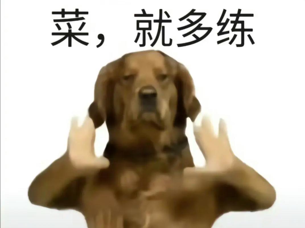 菜市场里练出来的才是真本事