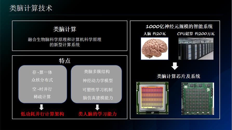 类脑计算现在卡在哪了？不是芯片是生态