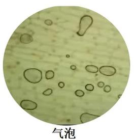 显微镜下细胞与气泡结构对比图