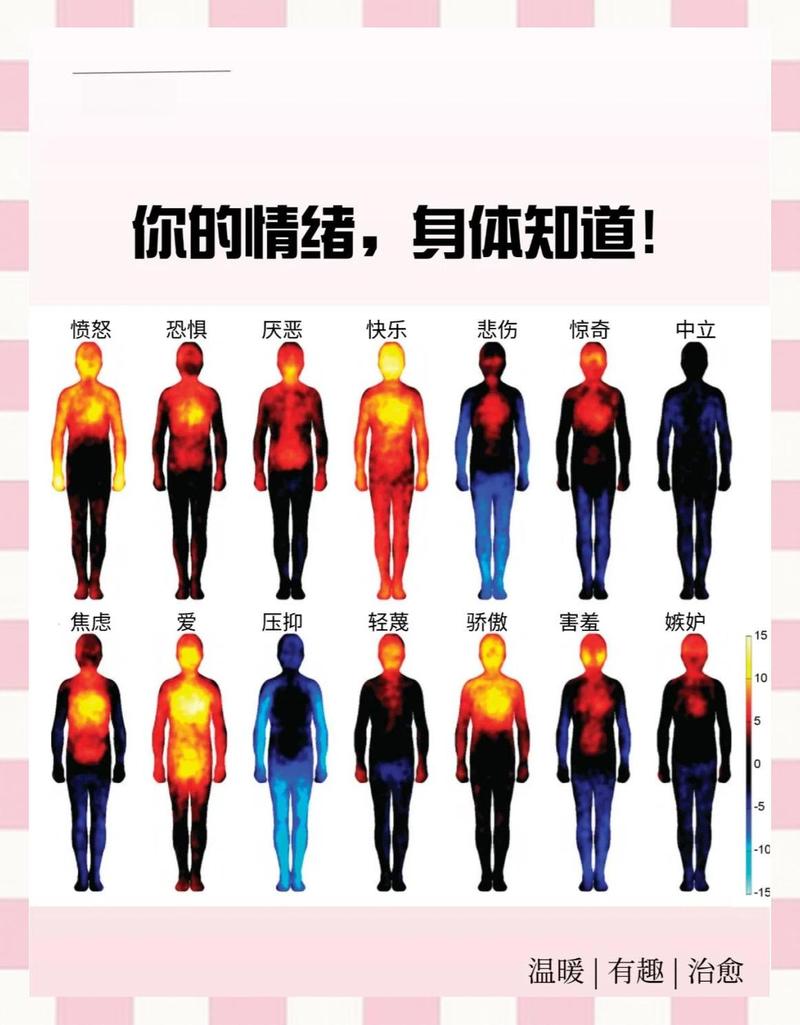 秋冬季节性情绪变化人体激素示意图