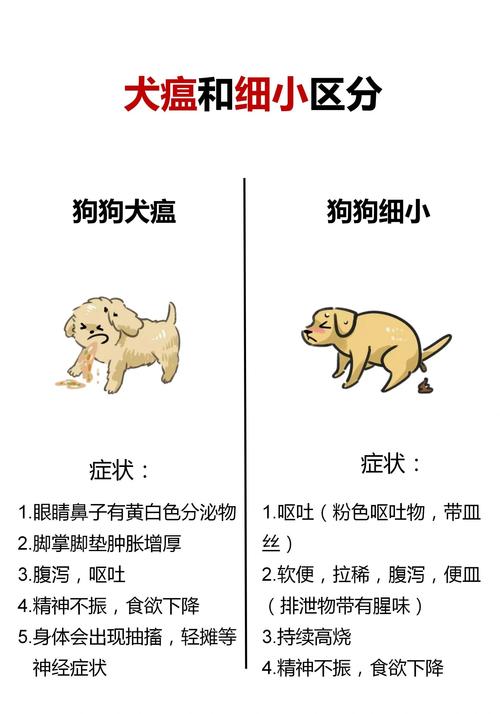中期犬瘟热狗狗脓性鼻涕对比图