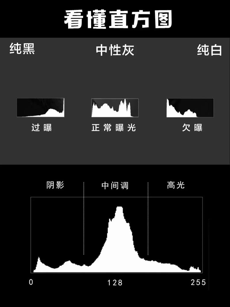 手机修图软件直方图高光溢出警告界面截图