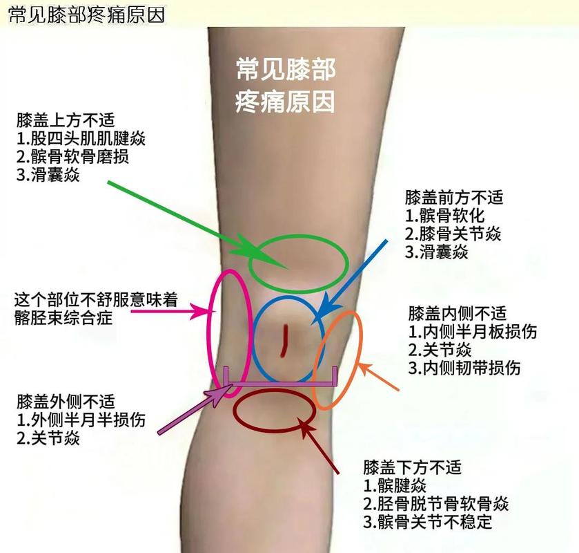 中老年人公园健步走膝盖受伤示意图