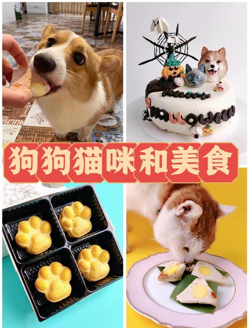 宠物烘焙产品图ALT优化前后对比表