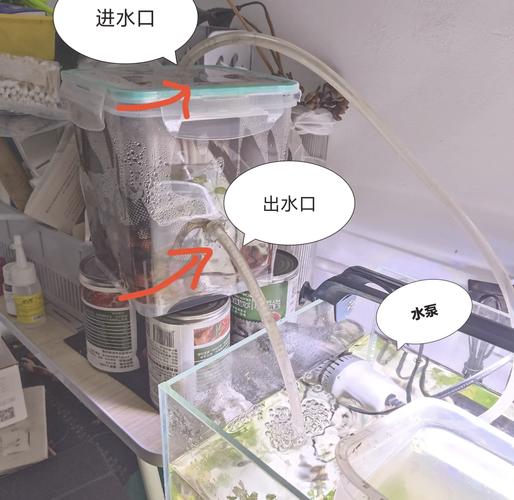 家庭阳台玻璃缸水循环小实验实拍