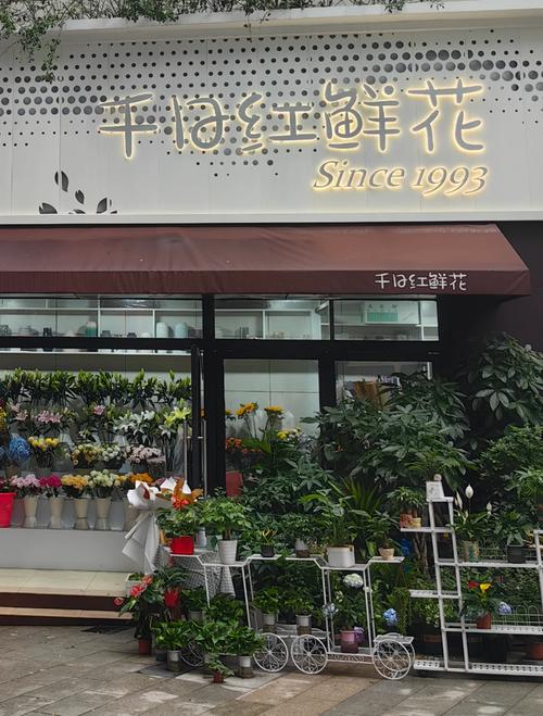 生态的门面，野花是正经底层