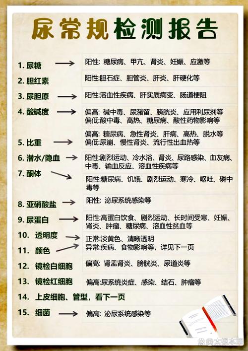 宠医拿着尿检样本给铲屎官讲解宠物饮水异常指标