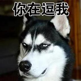 冷藏?你确定不是在逗我?