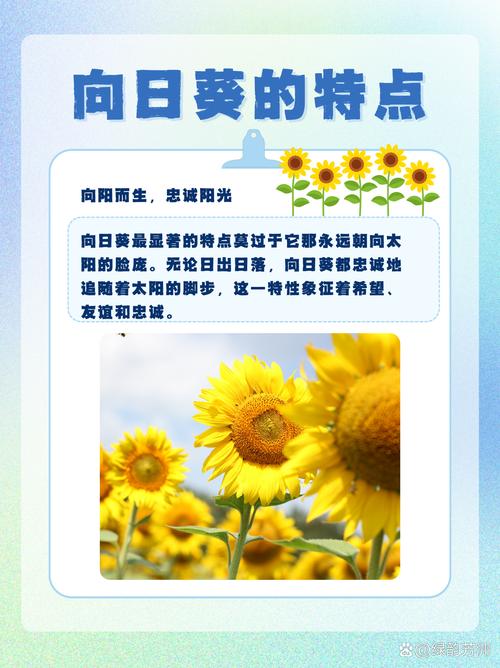 阳光还能干点啥?超出你想象